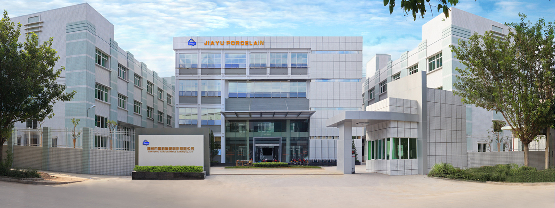 Company profile
