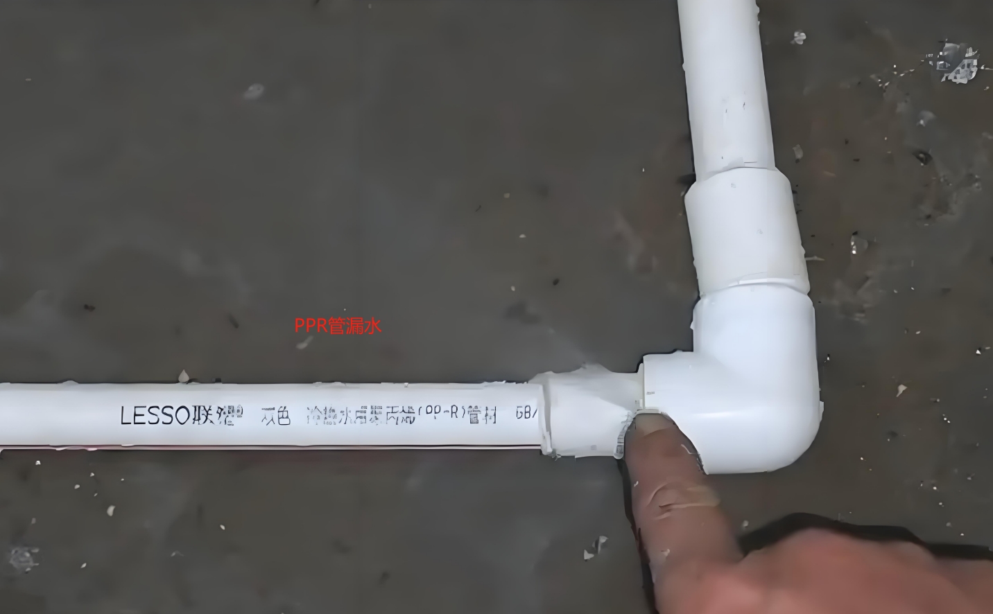 PP&PPR水管漏水檢測服務