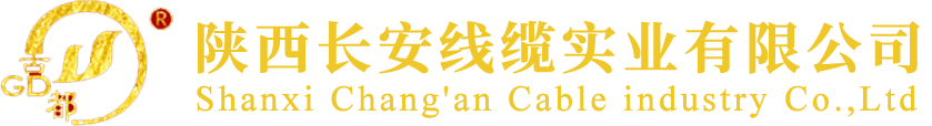 陕西长安线缆实业有限公司