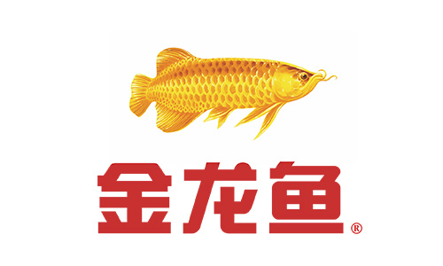 Golden dragon fish
