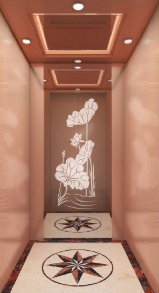 Customized lift without machine room from China