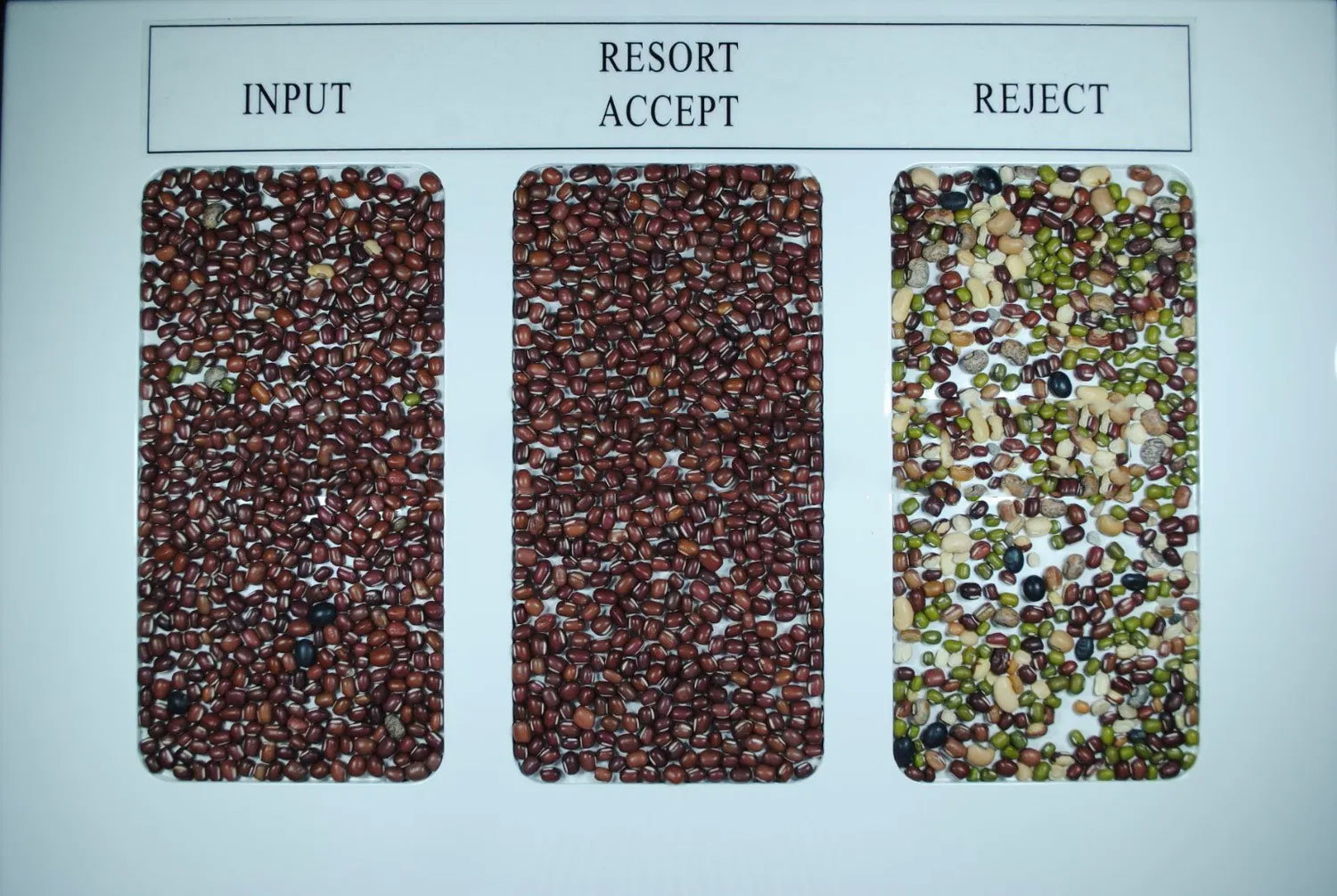 Red Black Green Mung Bean Seed Color Sorting Machine Bean Seed Color Sorter