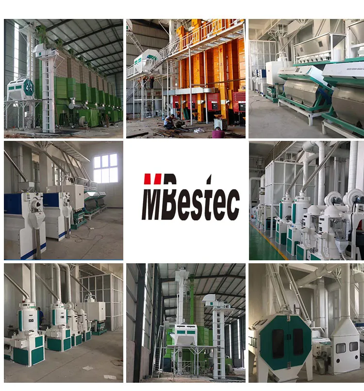 Garlic CCD Color Sorter with High Accuracy and Best Quality