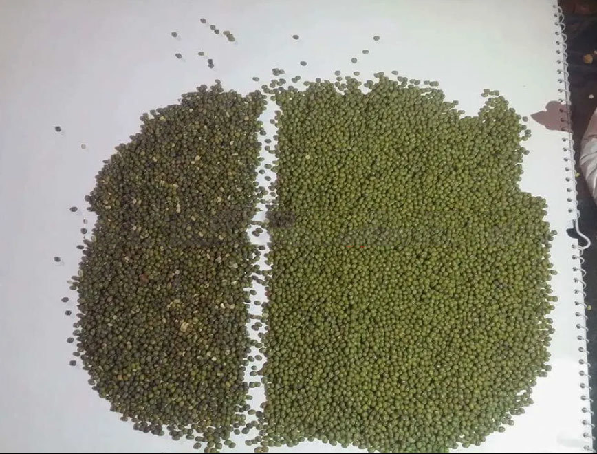 Multi-Function New Design Small Mung Bean Color Sorter Machine Color Sorter Professional Manufacturer in China