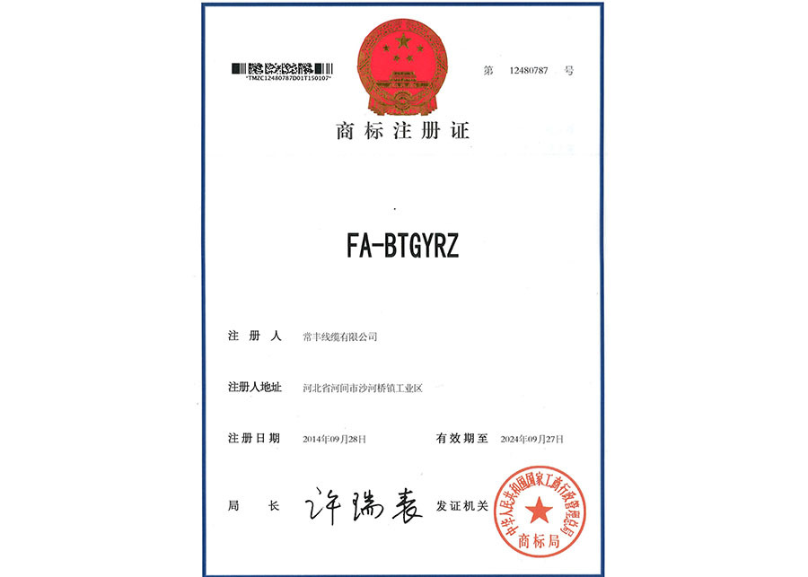 Trademark Registration Certificate FA-BTGYRZ