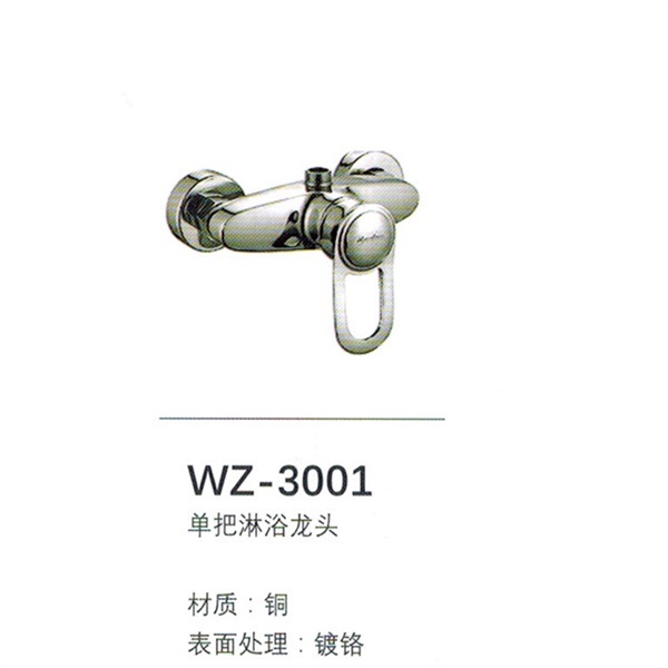 淋浴龙头WZ-3001