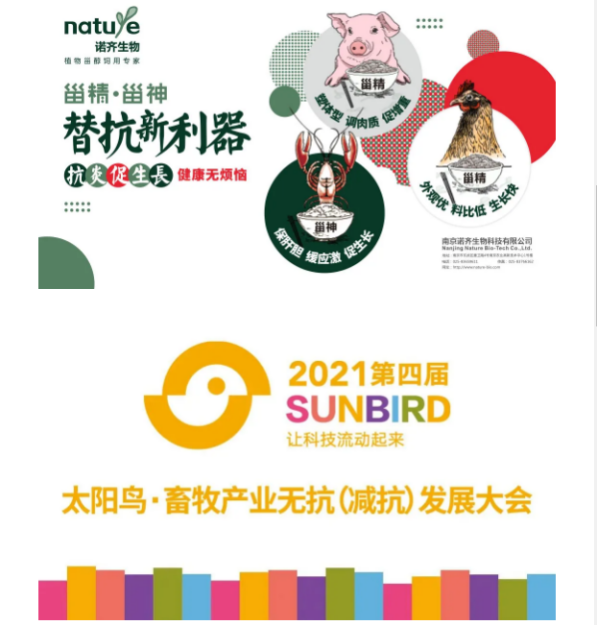 诺齐生物