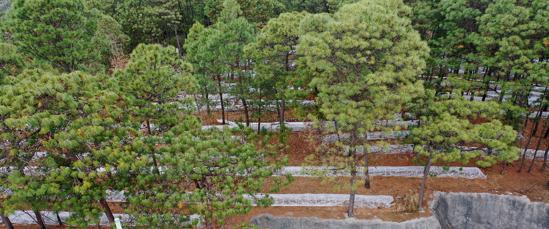 基地展示
