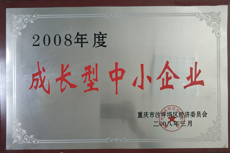 成長型中小企業(yè)