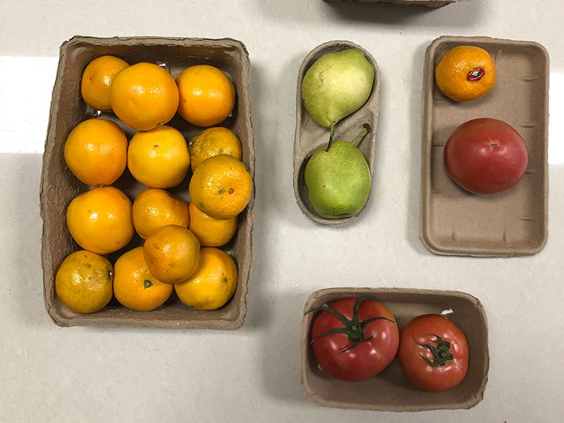 Plateau de légumes