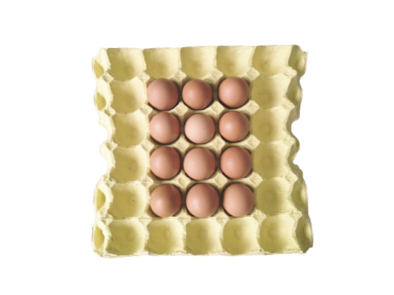 Boîte à oeufs Boîte à oeufs