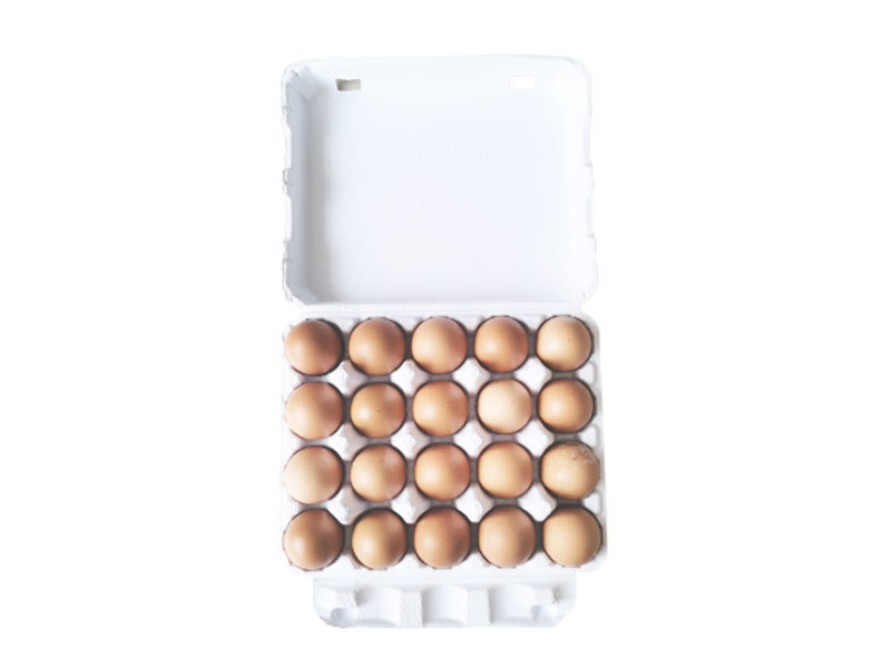 Boîte à oeufs