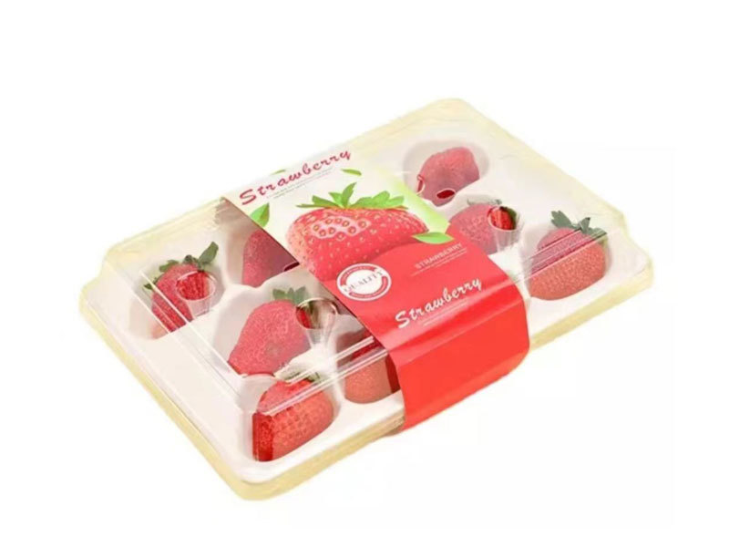 Palettes en plastique