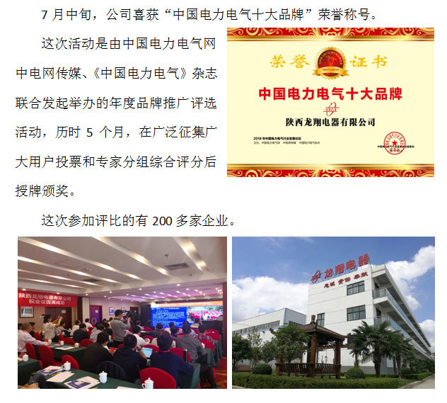 龙翔电器喜获“中国电力电气十大品牌”