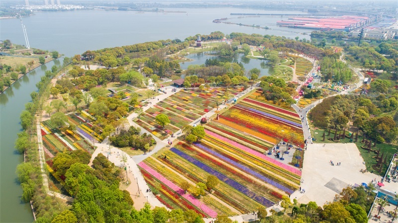 Tulip Garden
