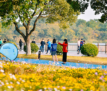 Bajie Park