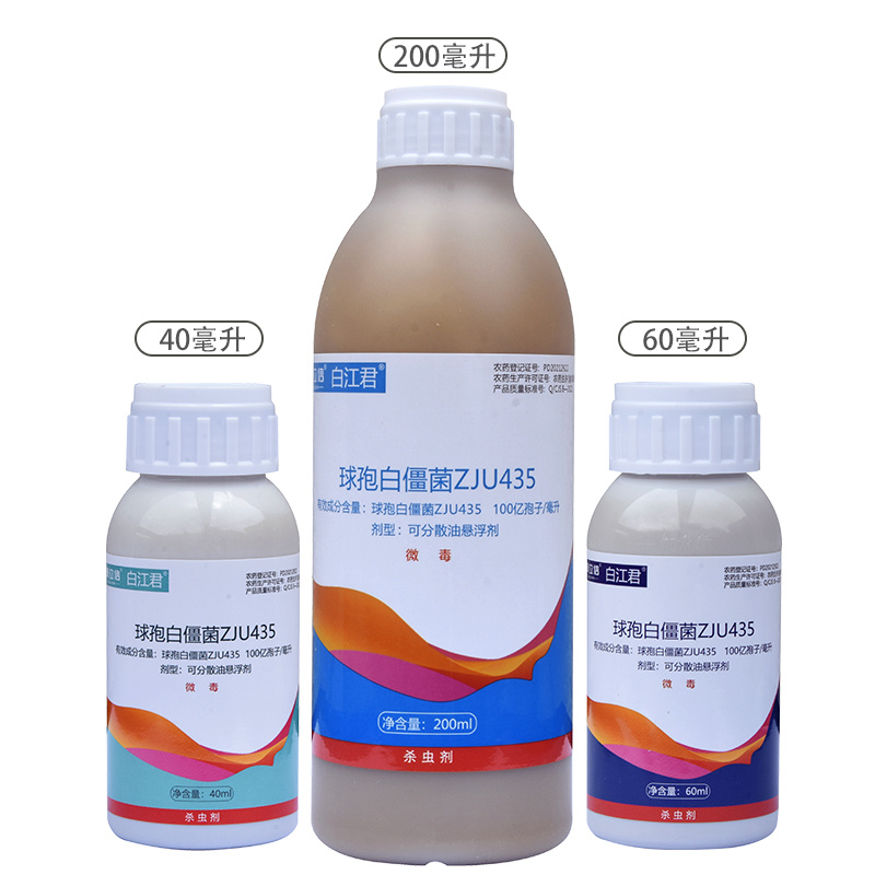 球孢白僵菌ZJU435