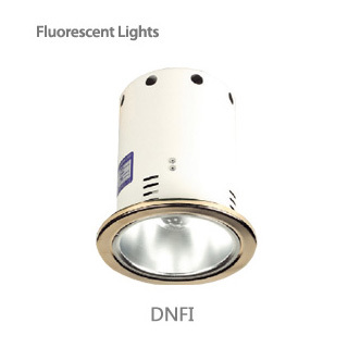 incandescent light / dnfi