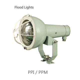 project lights ppi ppm