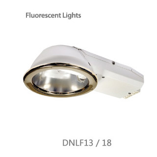 decorative lights /dnlf13/18
