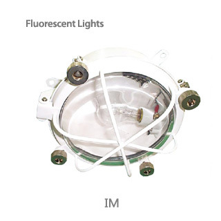 incandescent light / im