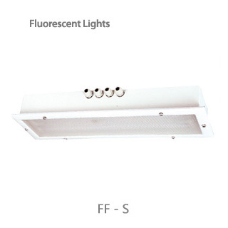 fluorescent lights / ff-s