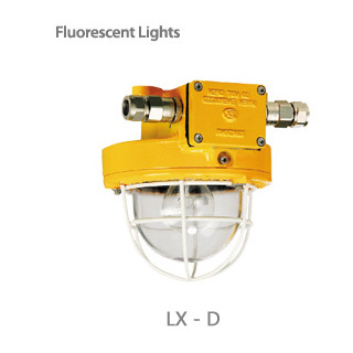 incandescent light / ix-d