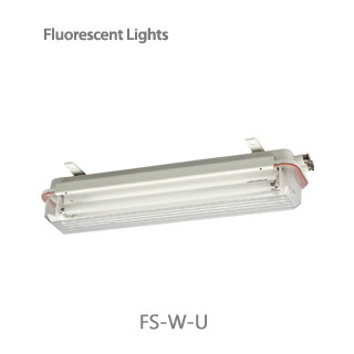 fluorescent lights / fs-w-u