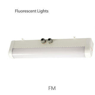 fluorescent light / fm