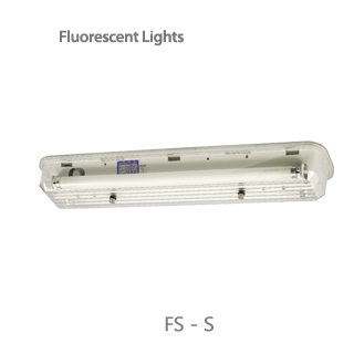 fluorescent lights / fs-s