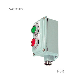  SWITCHES/PBR
