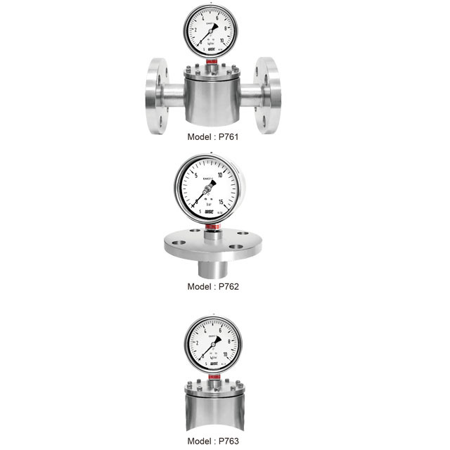 Pressure gauge with diaphragm seal_P761,P762,P763