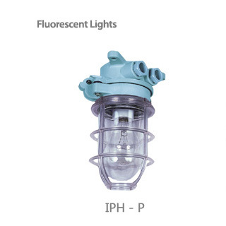 incandescent light / ipn-b