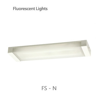  fluorescent lights / fs-n