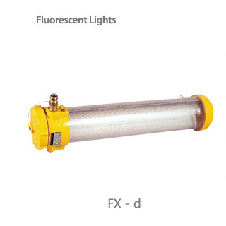 fluorescent lights/ fx-d