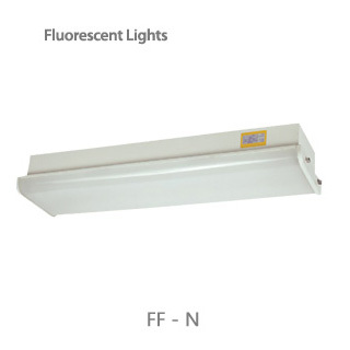 fluorescent lights /ff-n