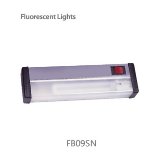 fluorescent light / fb09sn