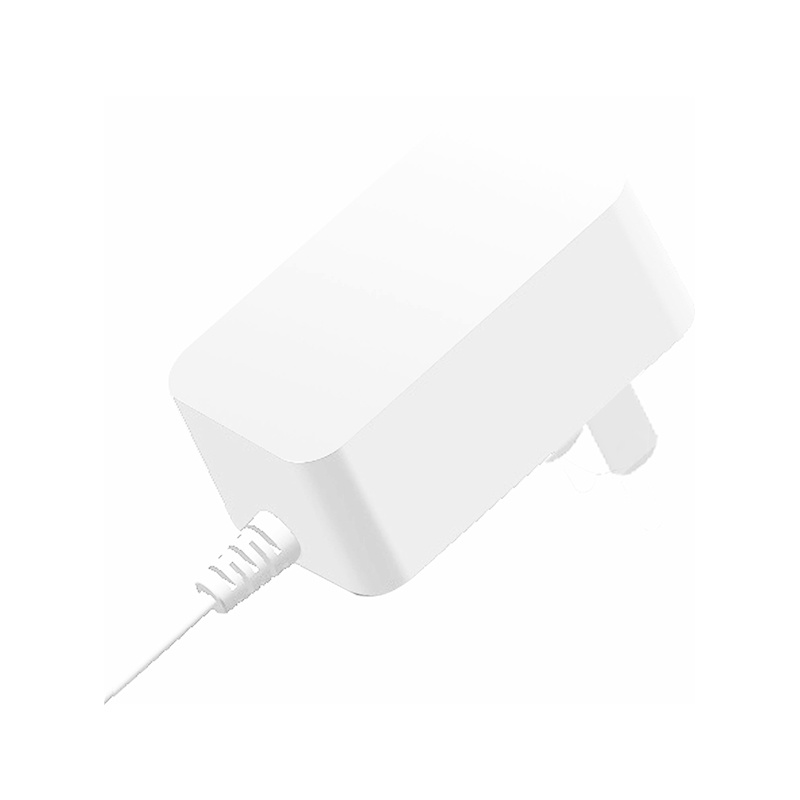墻插臥電源適配器系列