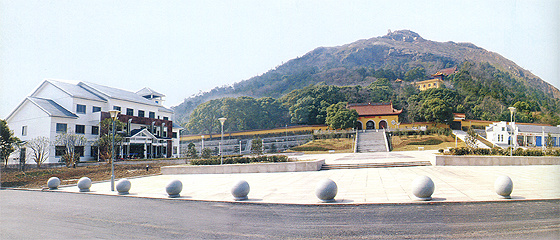阳山桃文化广场