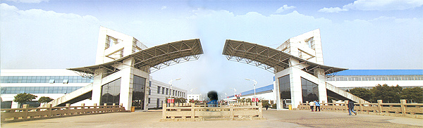 红豆
