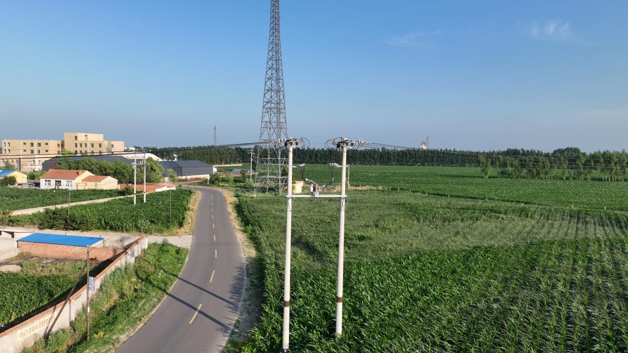 草地旁的轨道上行驶AI 生成的内容可能不正确。
