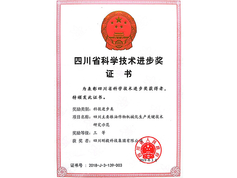 Sichuan Science and Technology Progress Award
