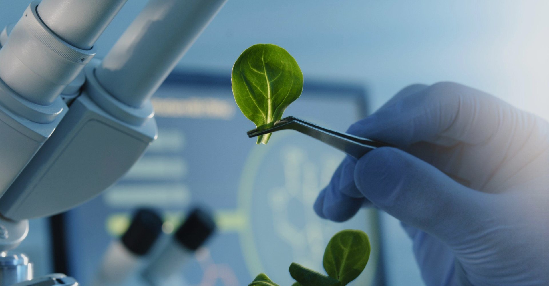 Focusing on the research and development and production of new pharmaceutical raw materials