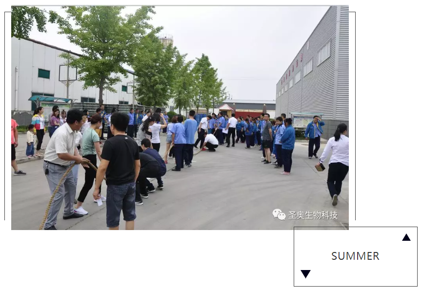 圣奥生物科技