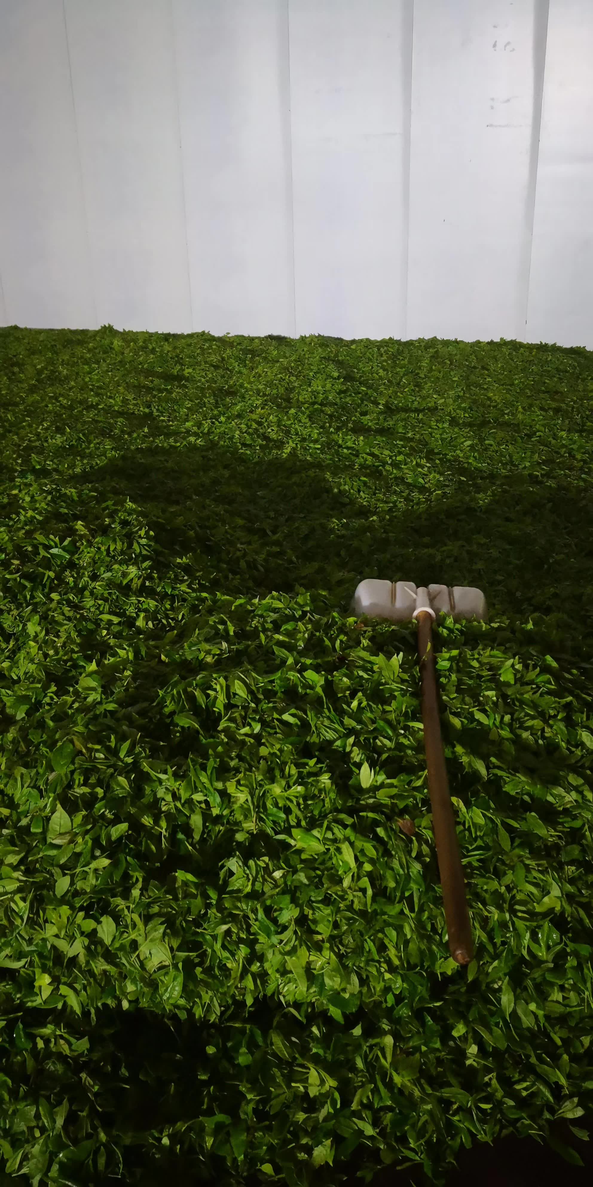 生產(chǎn)加工