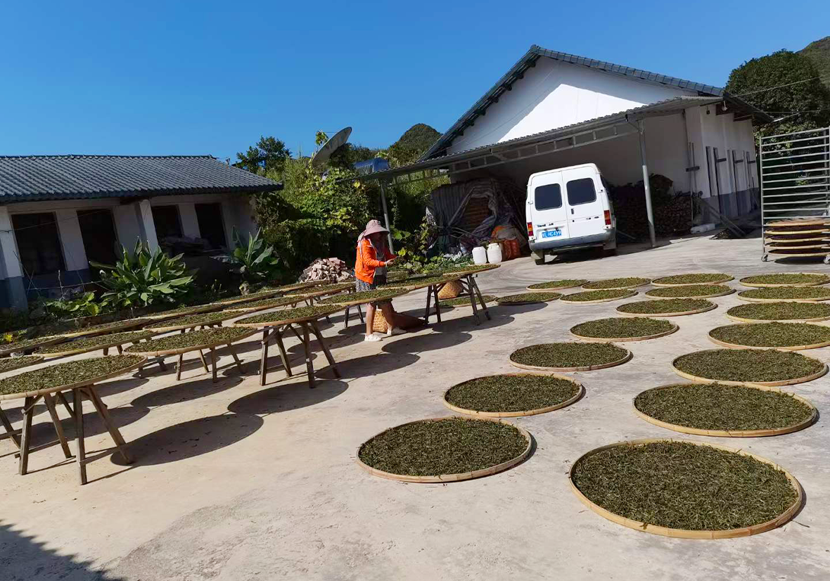 富寧邊關茶業有限公司 富寧邊關茶業有限公司