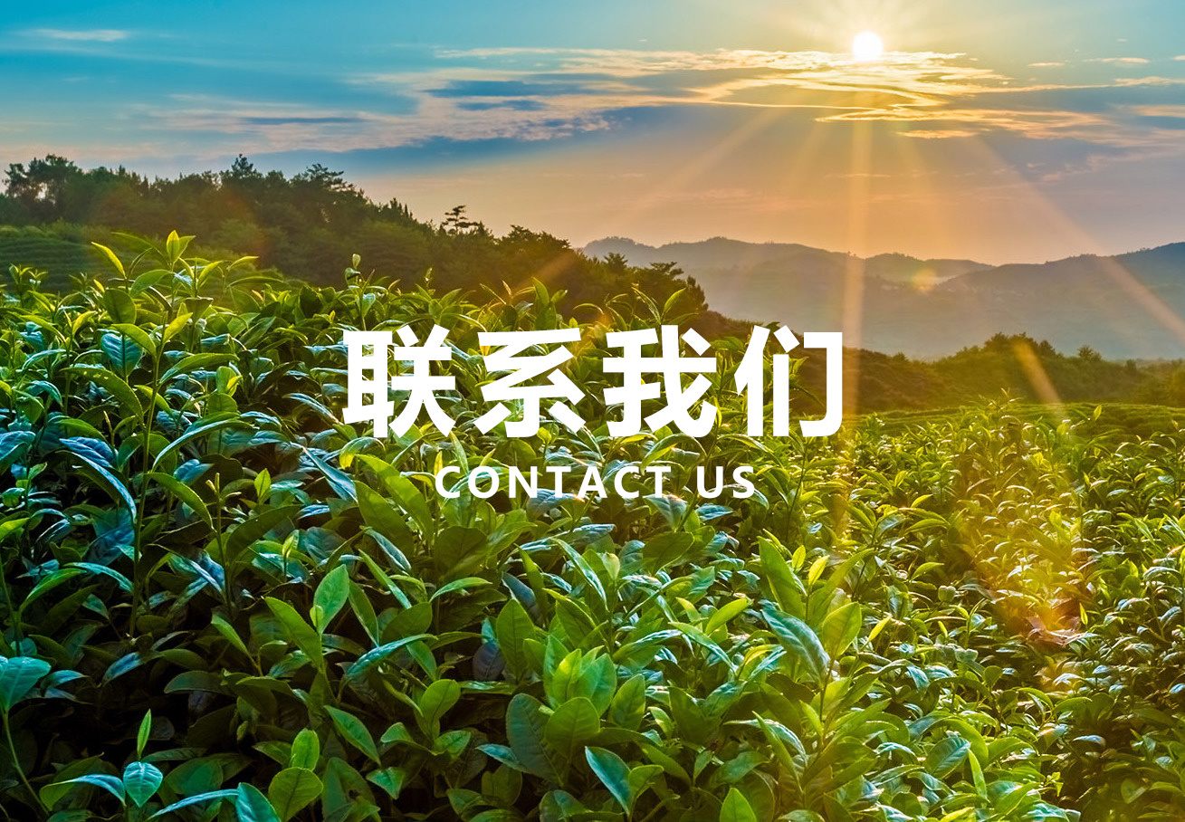 聯系我們