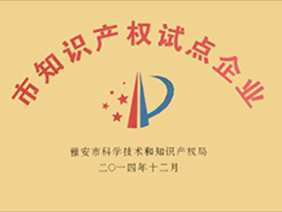 市知識產(chǎn)權(quán)試點企業(yè)