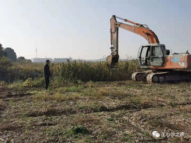 江心沙闲置土地回收工作在东沙居委会取得新进展