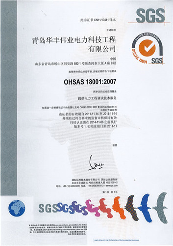 Occupational health and safety management system certification OHSAS 18001:2007